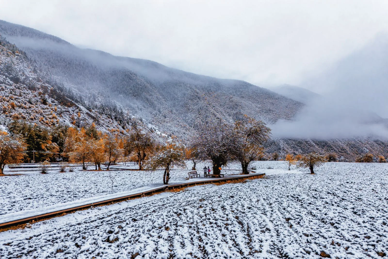秋冬交替时覆雪山谷与彩林的高原参考景观