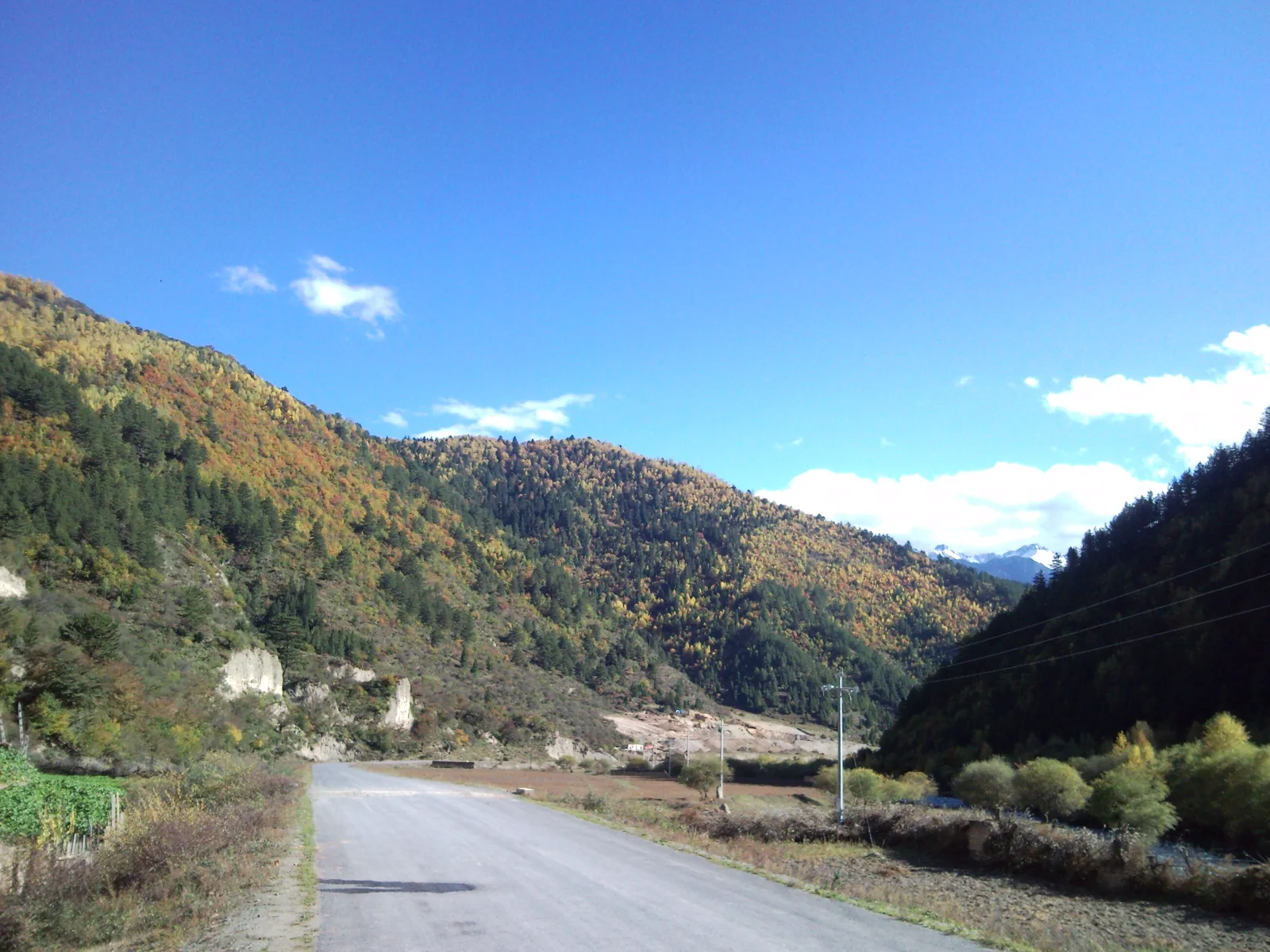 迭部县益哇一带公路穿过秋季森林河谷