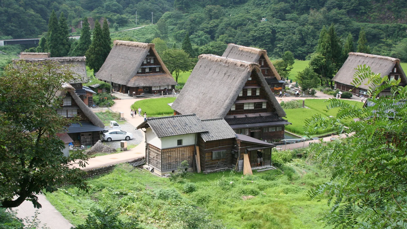 富山五箇山菅沼合掌造村落与山间田地