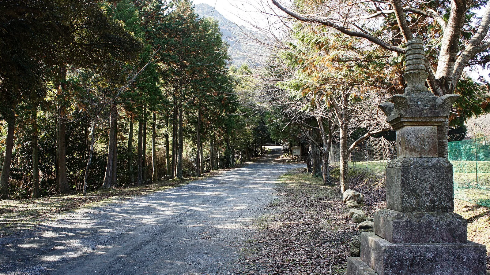 若狭神宫寺通往山门的林间参道与石灯笼
